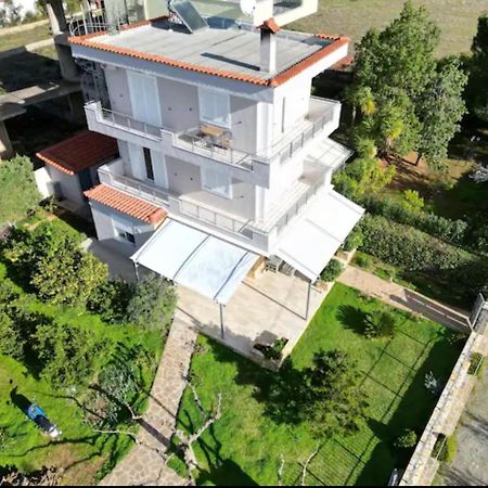 Eretria Homestay Dış mekan fotoğraf
